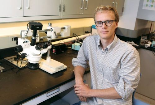 Marcus Hultmark