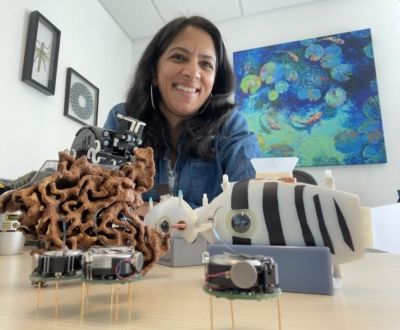 Radhika Nagpal with models of fish in her office.