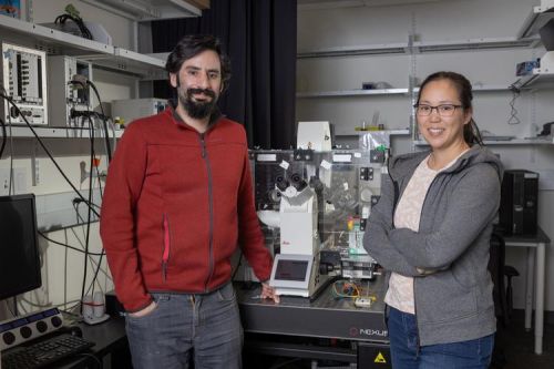 Daniel Cohen and Michelle Chan.