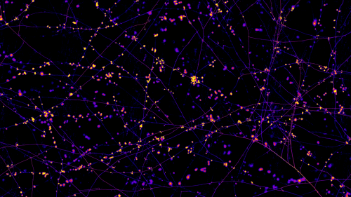 Web of thin purple lines dotted with yellow lights sprawling in all directions across black backgorund.