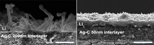 Two SEM images side by side.