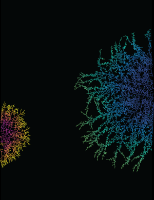 Two arboreal forms grow from either side of the frame toward each other with intricate branching networks.